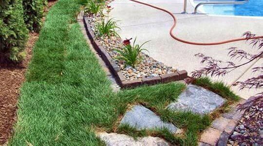 Back Yard Design & Landscaping for Swimming Pool