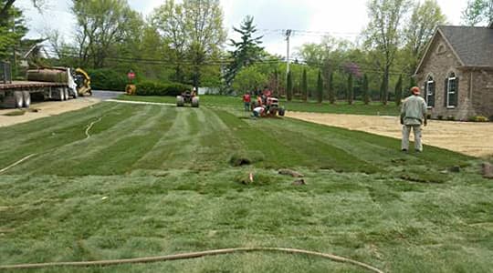 Sod Installation Company