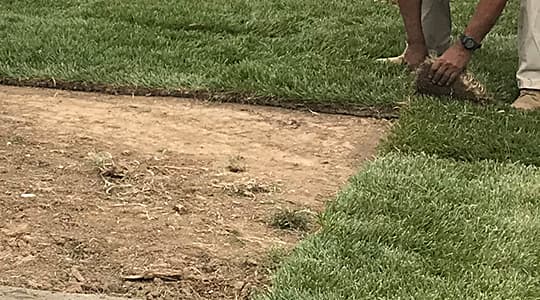 Sod Installation | St. Louis Landscaping