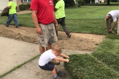 Sod Installation